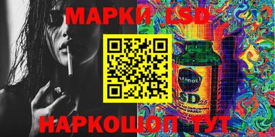 гашик Донской