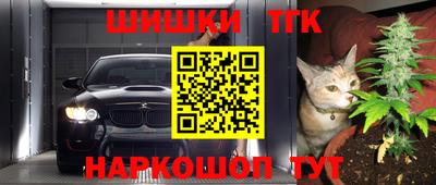 гашик Донской