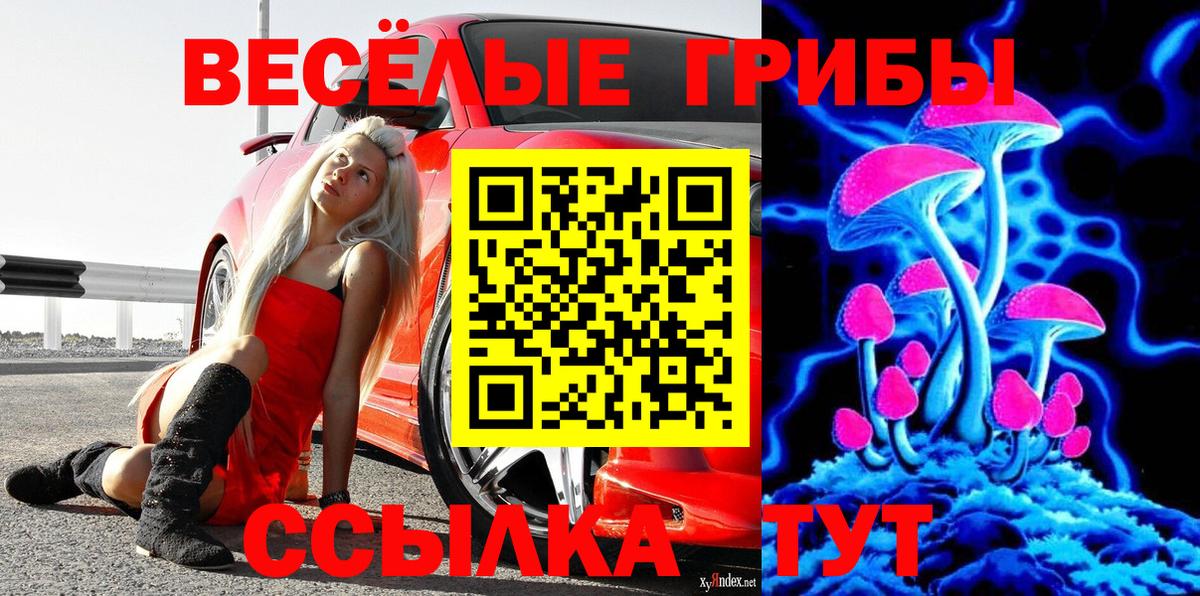 Галлюциногенные грибы GOLDEN TEACHER Можга