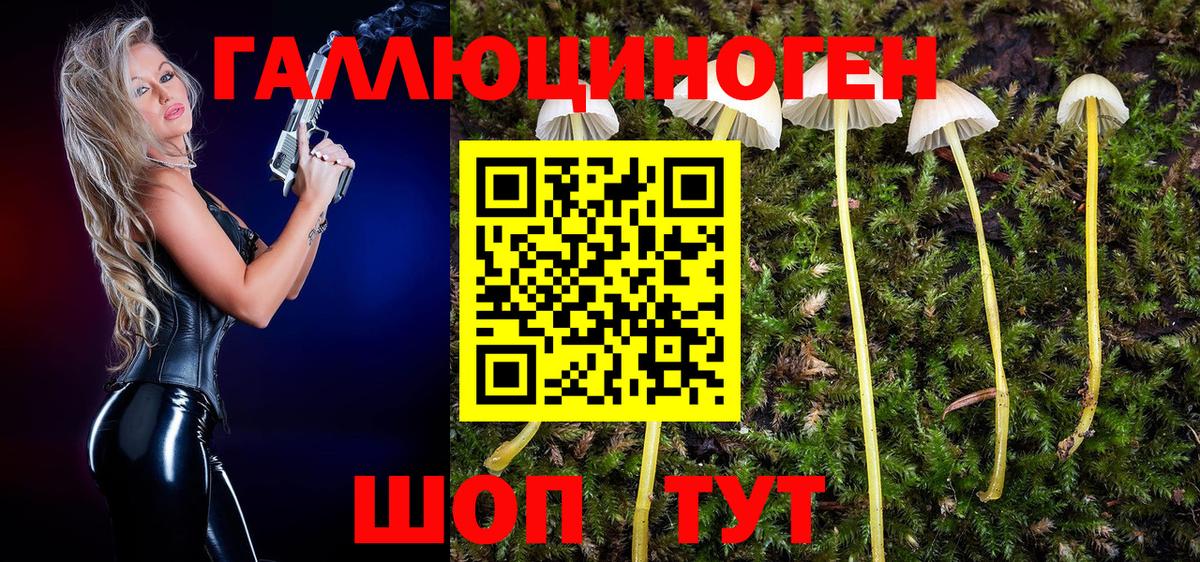 Псилоцибиновые грибы мицелий  Вход с VPN  Можга 